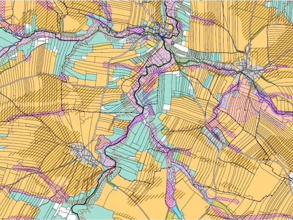 Raumplanung Grossauer